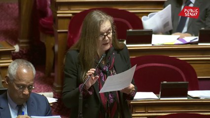 Angèle Préville (PS) accuse le gouvernement d’encourager fiscalement la production de tomates hors saison et sous serre