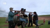 Drokpa - Los últimos nómadas del Tíbet - DW Documental