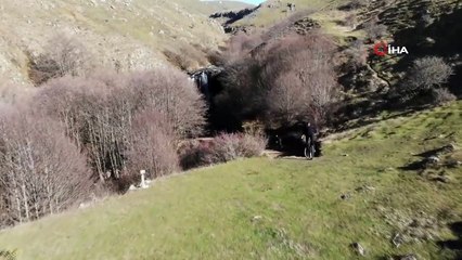 Ordulu Doğaseverler, Yılkı Atları İçin Harekete Geçti