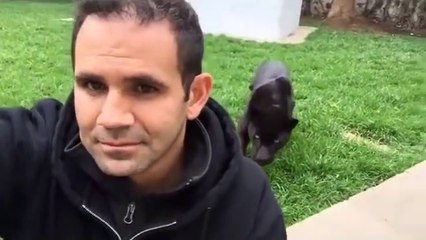 Il joue à "1,2,3 soleil" avec son jaguar