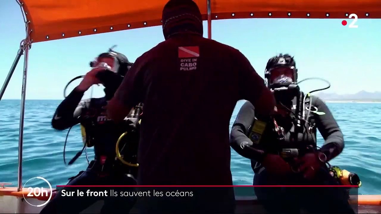 Mexique : à Cabo Pulmo, quand la nature reprend ses droits