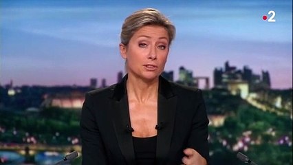 Mali : un lourd tribut pour les militaires de l'opération Barkhane