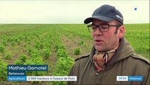 Agriculteurs : 1 000 tracteurs à l'assaut de Paris