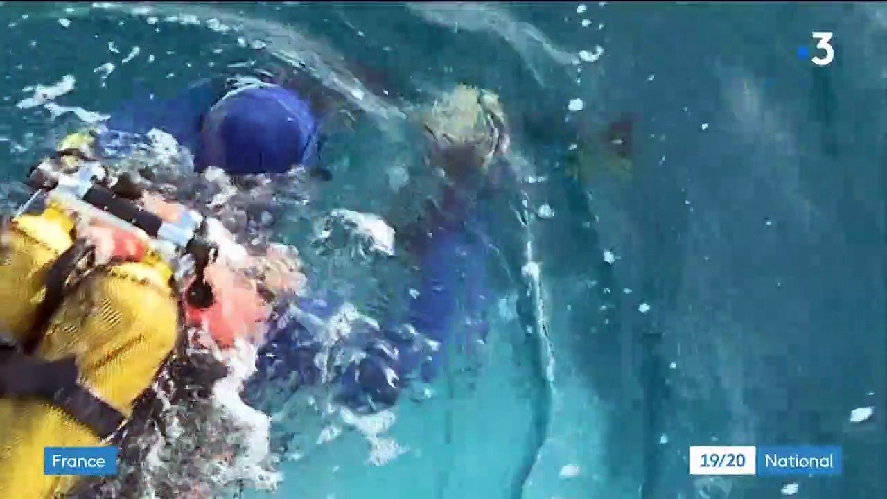 Intempéries dans le Sud-Est : un pêcheur toujours porté disparu dans les Bouches-du-Rhône