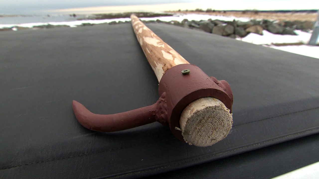 La chasse aux phoques, une pratique légale qui demeure tabou