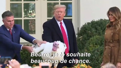 USA: Trump gracie deux dindes pour Thanksgiving en ironisant sur la destitution