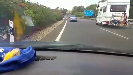 La crueldad del hombre frente a la fidelidad del perro