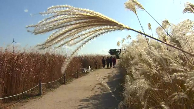 [날씨] 내륙 맑고 쌀쌀...강원 산간 또 30cm 폭설 / YTN