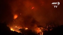 Nuevo incendio forestal en California fuerza evacuación de más de 4.000 personas