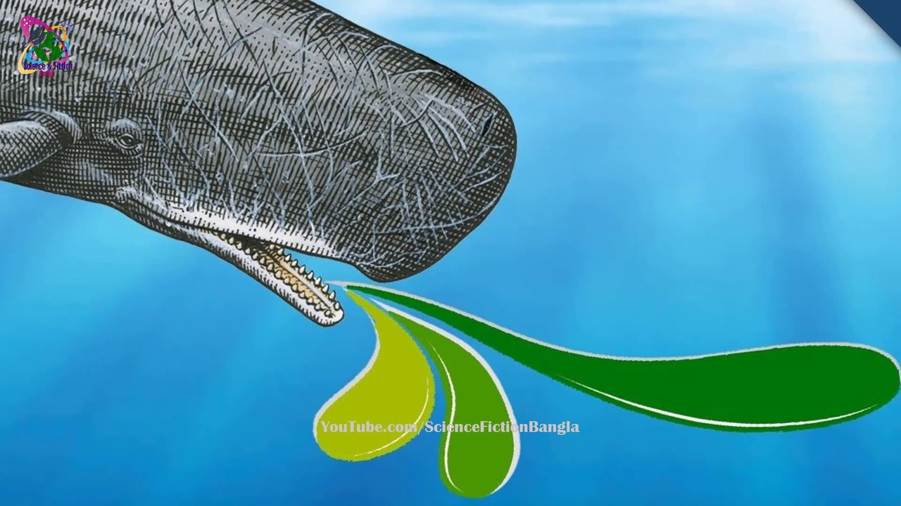 তিমির বমি সোনার চেয়েও বেশি মূল্যবান !!! STRANGE IDEAS THAT WORK BANGLA || #Part 2