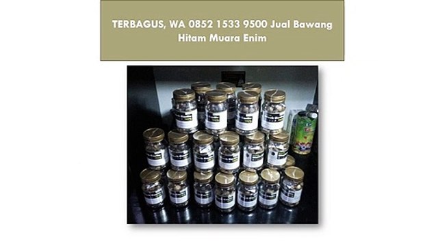 TERBAGUS, WA 0852 1533 9500 Jual Bawang Hitam Muara Enim
