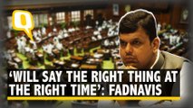 Devendra Fadnavis on Ajit Pawar Fiasco: 'Will Say the Right Thing at Right Time'