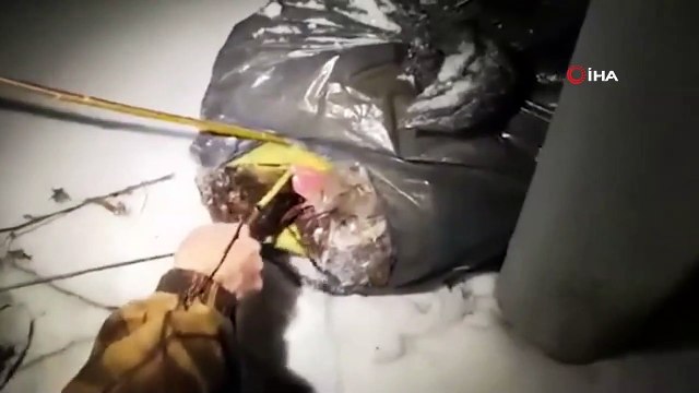 - Rusya'da 'HIV' alarmı- HIV virüsü taşıyan hastaların vücut parçaları çiftlik arazisindeki poşetlerden çıktı