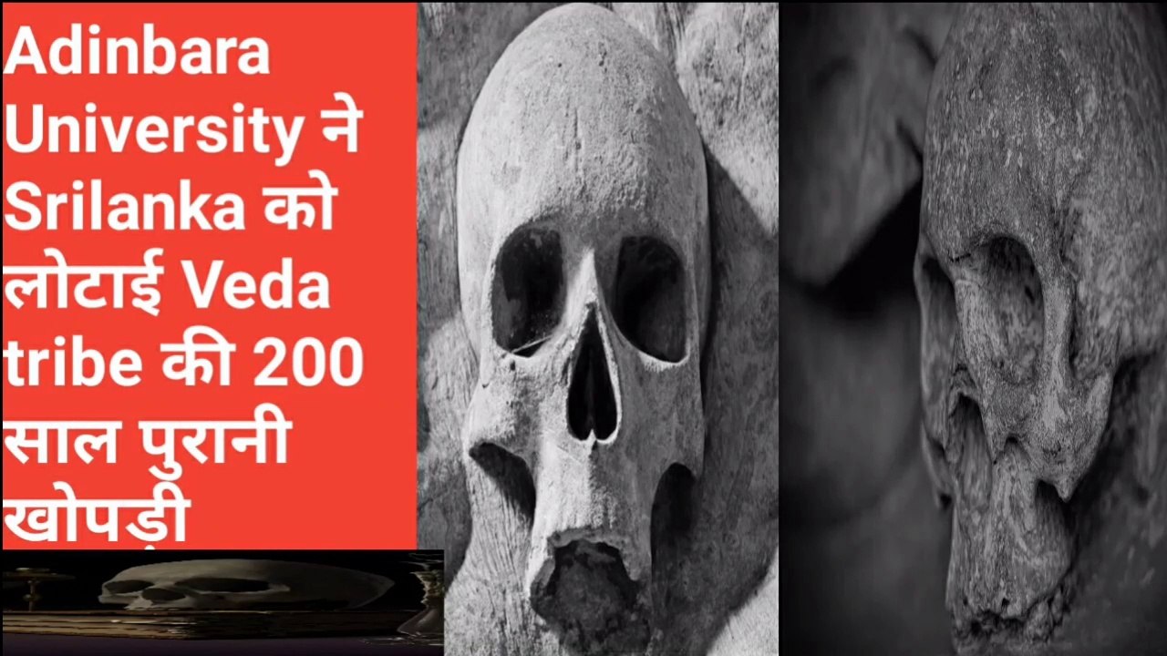 Adinbara University ने Srilanka को लोटाई Veda tribe की 200 साल पुरानी खोपड़ी by discovery24 network