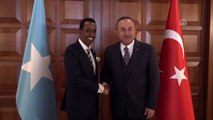 Çavuşoğlu, Somali Dışişleri ve Uluslararası İş Birliği Bakanı Avad ile görüştü