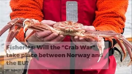 Weekly News Highlights