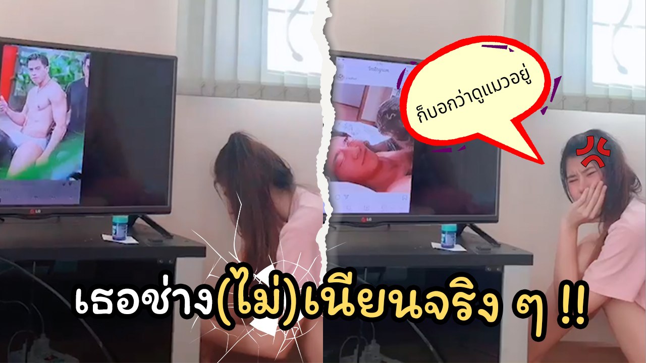 เกมเฉยเลย.. !! สาวหลอกแฟนดูหมา-แมว ในเฟซ หารู้ไ...
