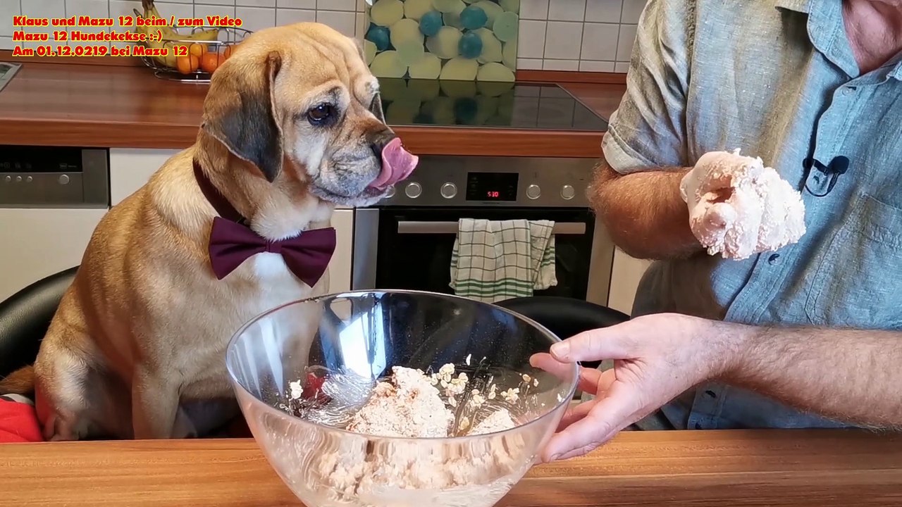 Mazu 12-Hunde-Plätzchen