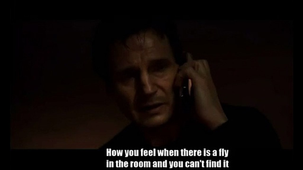 WHEN YOU CAN'T FIND A FLY