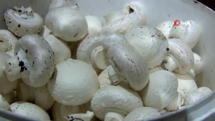 Gelin kaynana kendi işlerinin patronu oldu