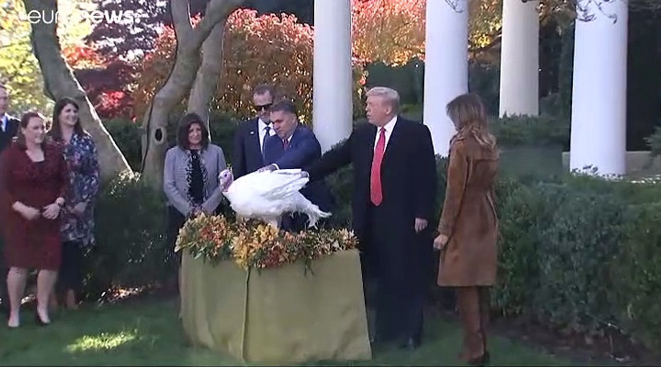 Thanksgiving: Trump begnadigt die Truthähne 'Bread' und 'Butter'