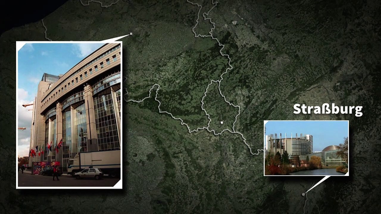 Videografik: So arbeitet das EU-Parlament