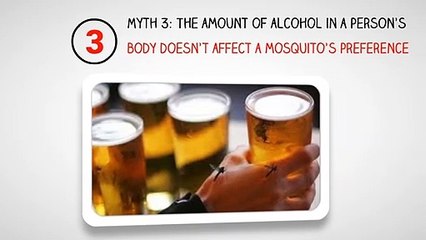 Five Common Mosquito Myths You Shouldn’t Believe In