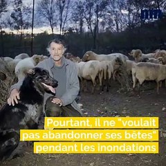 Troupeau miraculé, Vigilance sur le Paillon, Enquête sur la No Finish Line: voici le brief info de ce mercredi après-midi