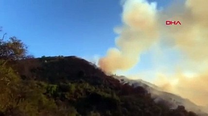 Kaliforniya'da ulusal ormanda başlayan yangın devam ediyor