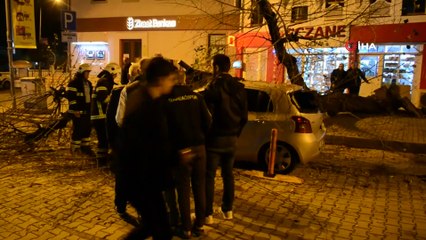 Ölümden saniyelerle kurtuldu... Kökünden sökülen ağaç otomobilin üzerine böyle düştü