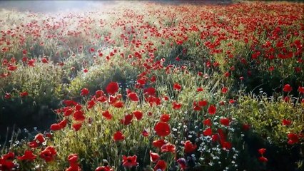 Nossa Senhora do Desterro é conhecida por realizar milagres e afastar qualquer tipo de moléstia ou mal