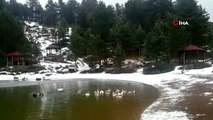 Limni Gölü'nde kar yağışı başladı