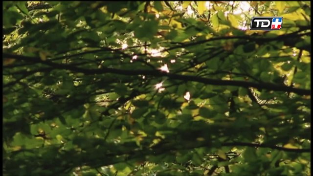 Historias del Fútbol: Orígenes