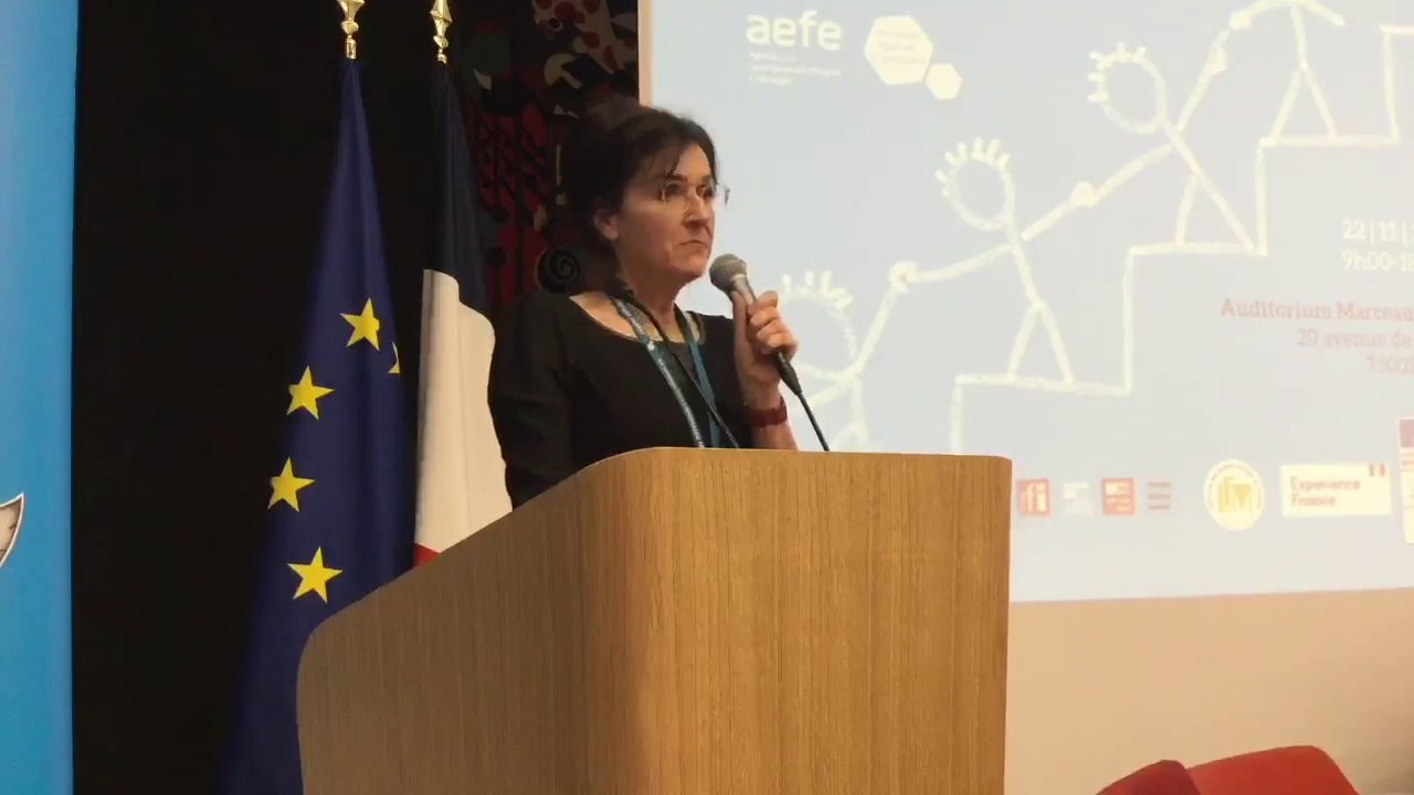 5.  La situation de l'inclusion scolaire en Allemagne et le réseau de la ZFA