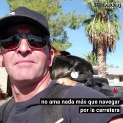 Rocket, el perro motociclista que ama recorrer las carreteras con su dueño