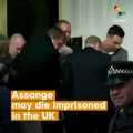 Assange May Die Imprisoned In The UK