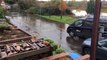 Wallington flooding
