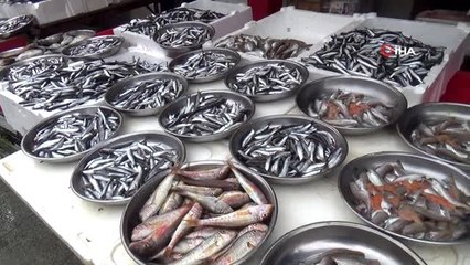 Giresunlu balıkçıdan "Av yasağı Eylül'de değil Ekim'de kalksın" önerisi