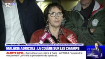 Après une réunion au ministère de l'Agriculture, la FNSEA demande la 