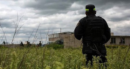 Meksika'da bir çiftlik ile yakınındaki çukurda 14 ceset bulundu