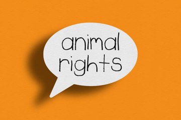 Une police contre la maltraitance animale : un projet Norvégien !