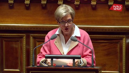 Prime crédit d'impôt transition énergétique : les inquiétudes de la sénatrice Denise Saint-Pé