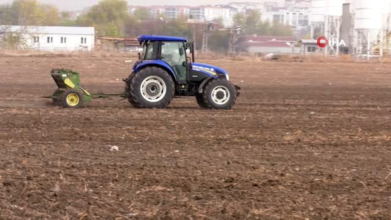Atatürk Orman Çiftliği arazisi tohumla buluştu