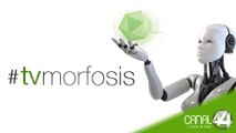 TVMORFOSIS 29 | México 2019