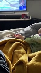 Daughter and Cat Play for the First Time