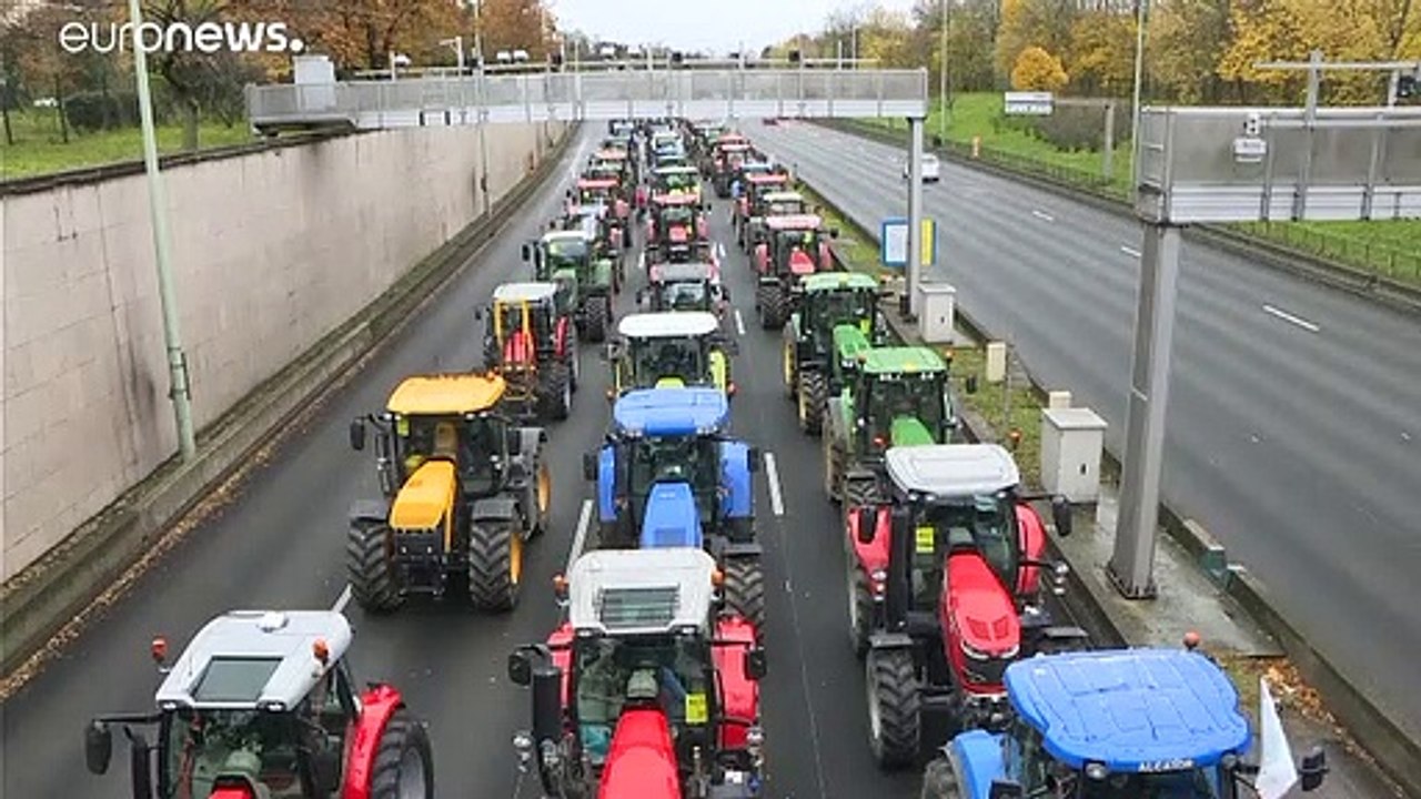 Agrarprotest in Frankreich: 'Wir haben täglich 2 Suizide von Bauern'