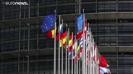 Semsrott propone un plan para evitar los traslados de parlamentarios a Estrasburgo