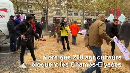 Des centaines d'agriculteurs convergent vers Paris