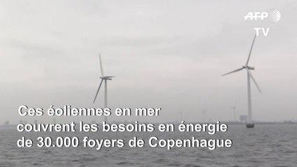 Au large de Copenhague, un parc éolien offshore géant