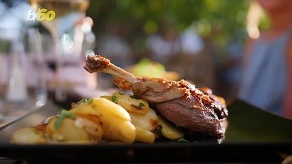 White or Dark Meat? The Science Behind the Delicious Debate!